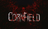 Cornfield background